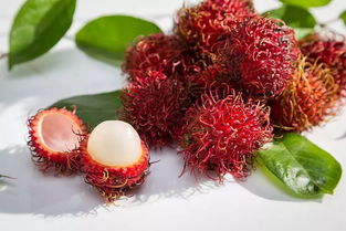 红毛丹性温还是性寒 红毛丹为什么禁止卖