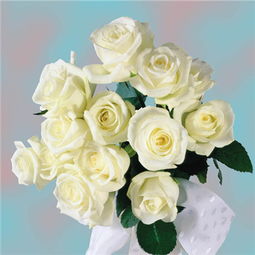 红玫瑰象征着什么花语 红玫瑰送人的禁忌