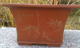 红陶花盆为什么养不好花 红陶盆为什么不建议种菜