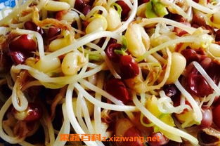 红豆芽的危害 豆芽的禁忌与副作用
