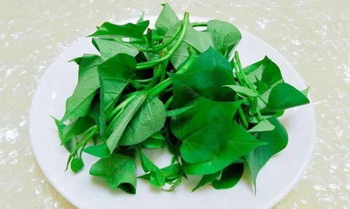 红薯叶需不需要焯水 红薯叶的危害和副作用