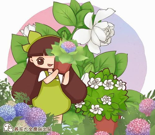 绣球6月修剪还是8月修剪好 绣球8月份修剪可以吗