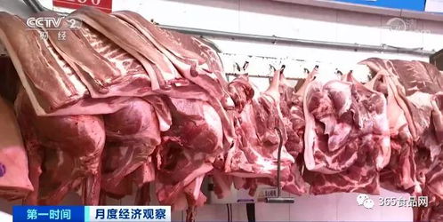 继室难为1∨2多肉讲什么 继续难为1v2