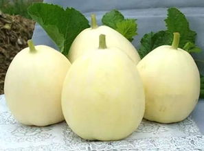 经常吃甜瓜的十大危害 一天吃一个甜瓜会怎样