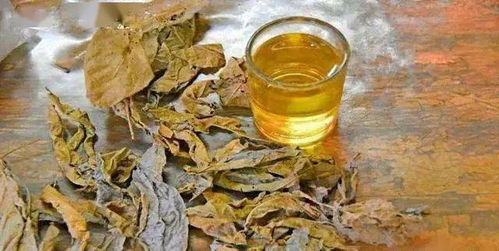 经常喝椰子水的危害 椰子水被称为最干净的水