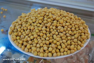 绿皮黄豆和黄豆哪个营养好 绿皮黄豆叫什么