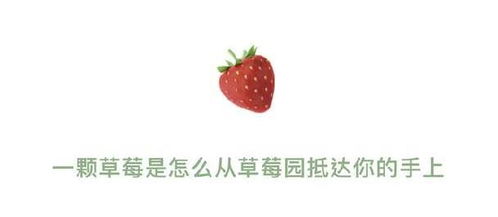 网络暗语草莓是什么意思 男女之间草莓暗示什么意思
