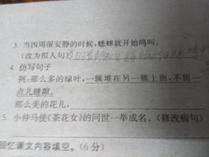 美丽的花朵像什么一样 花朵像什么仿写句子