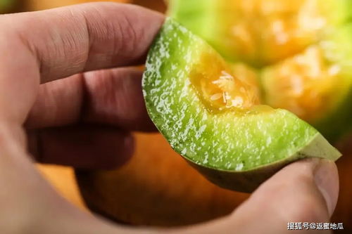羊角蜜瓜怎么判断成熟 羊角蜜不熟的图片