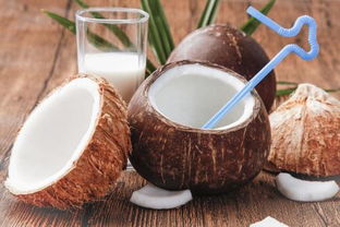 老椰子怎么开硬壳吃肉 开椰子壳最简单的方法