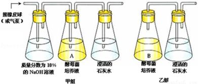 联苯菊酯对人体的危害大吗 联苯菊酯喷后多久无毒