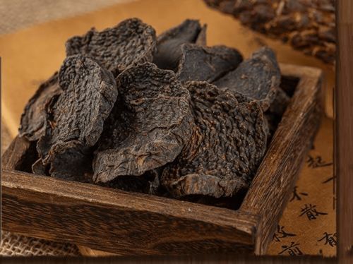 肉苁蓉保肝还是伤肝 肉苁蓉的毒性强大