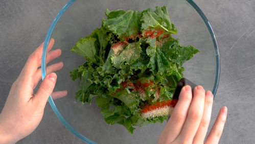 羽衣甘蓝粉是早上喝还是晚上喝 羽衣甘蓝粉正确喝法