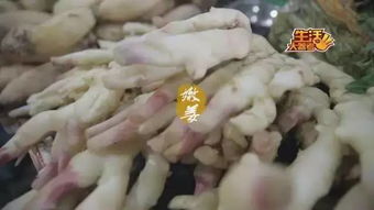 老姜上面长的嫩芽能吃吗 老姜长出来的嫩姜可以吃吗