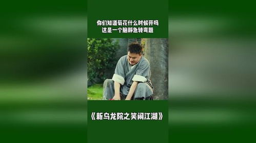 脑筋急转弯菊花几月开 菊花什么时候开谜语答案
