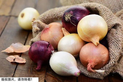 胡萝卜属于根还是茎 洋葱属于块根还是块茎