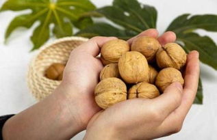 胡桃与核桃的区别 胡桃与核桃是不是一码事