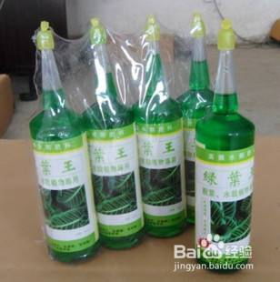 自制不臭的植物营养液 在家用什么代替营养液