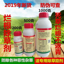 自制万能除草剂 自制强力烂根除草剂