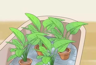 自动浇花神器三年级下册 小学生自制自动浇水器