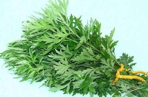 艾草放家门口风水好不好 艾草可以一直挂在门上吗