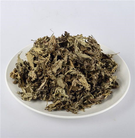 艾蒿和艾草的区别和作用 怎样辨别艾草和艾蒿