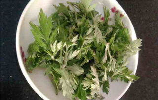 艾草泡脚能天天泡吗 艾草泡脚4大禁忌