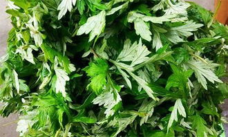 艾草孕妇能用吗 孕妇闻艾草味会流产吗