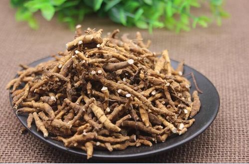 节菖蒲和石菖蒲的区别 九节菖蒲为什么比石菖蒲贵