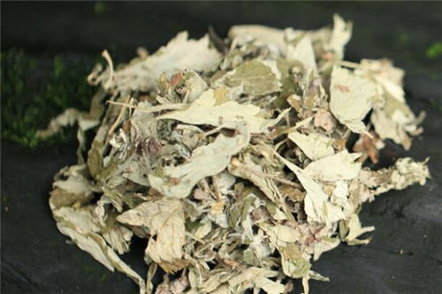 艾草干货多少钱一斤 艾草有收购的吗,多少钱一公斤