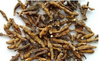 节菖蒲和石菖蒲功效上的区别 九节菖蒲为什么比石菖蒲贵