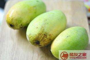 芒果放了半个月还可以吃吗 芒果没放熟反而烂了是为什么