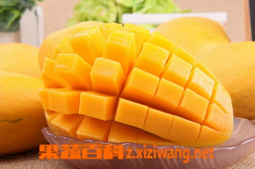 芒果有油漆味还能吃吗 芒果有股化学品的味道还能吃吗
