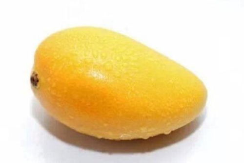 芒果是温性还是寒性 芒果是凉性为什么上火
