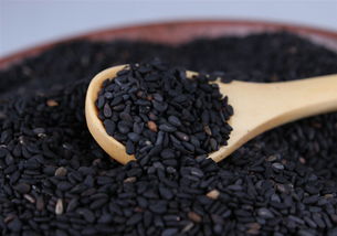 芝麻几月种几月收 芝麻几月就不能种了