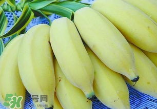 芭蕉和香蕉哪个好 芭蕉为什么比香蕉贵