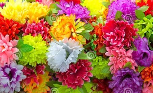 花为什么是五颜六色的呢 谁说花一定是彩色的