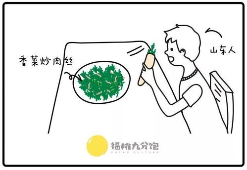 芫荽拼音yan sui 芫荽正确读yanxu吗