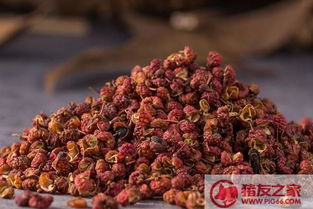 花椒收获期是什么时间 怎么判断花椒是否成熟