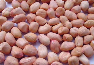 花生属于蔬菜还是水果 花生属于什么