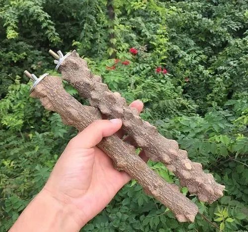 花椒木的10大禁忌 花椒木放在家里好不好