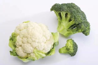 花菜和西兰花哪个减肥 什么蔬菜刮油减肥最有效