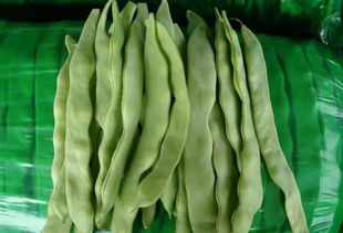 芸豆百度百科 芸豆又叫什么豆