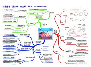 花的子房发育成什么 花的发育过程思维导图