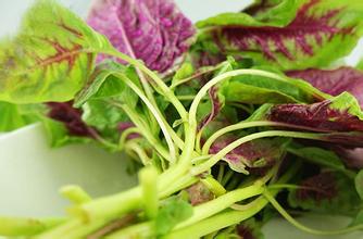 苋菜在农村叫什么 苋菜土话叫什么