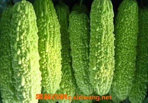 苦瓜中间的芯要去掉吗 吃苦瓜7个要命禁忌