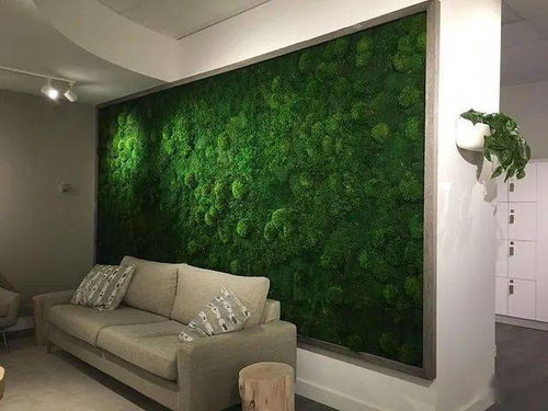 苔藓养在室内有危害吗 苔藓寿命有多久