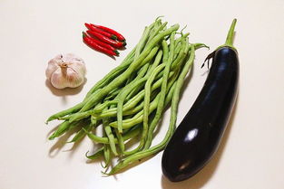 茄子成熟期多少天 豆角从种到收需要多少天