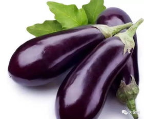 茄子一般打什么农药 茄子打什么杀菌剂好