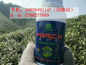 茶树最怕施什么肥料 茶树催芽壮芽用什么药最快